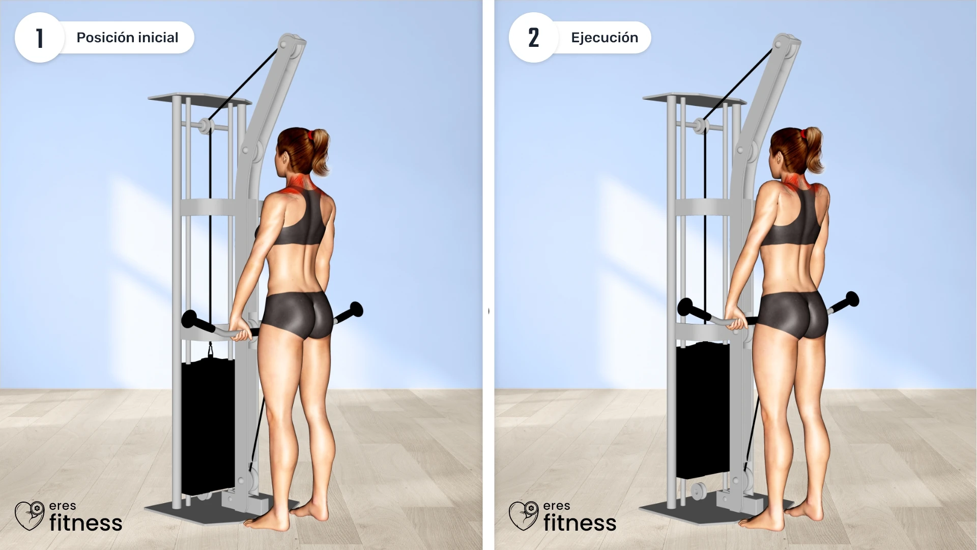 ¿Cómo hacer encogimiento de hombros en polea?