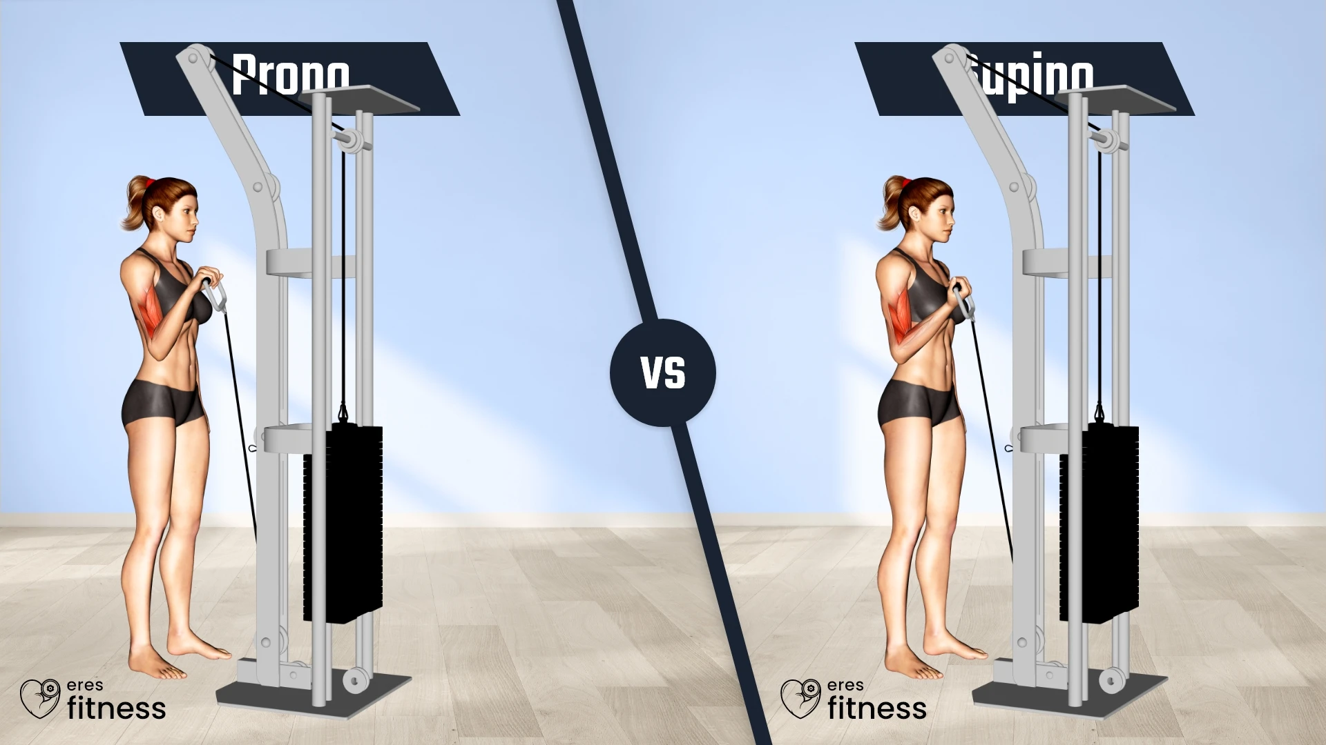 Diferencia entre agarre prono vs agarre supino en el curl en polea