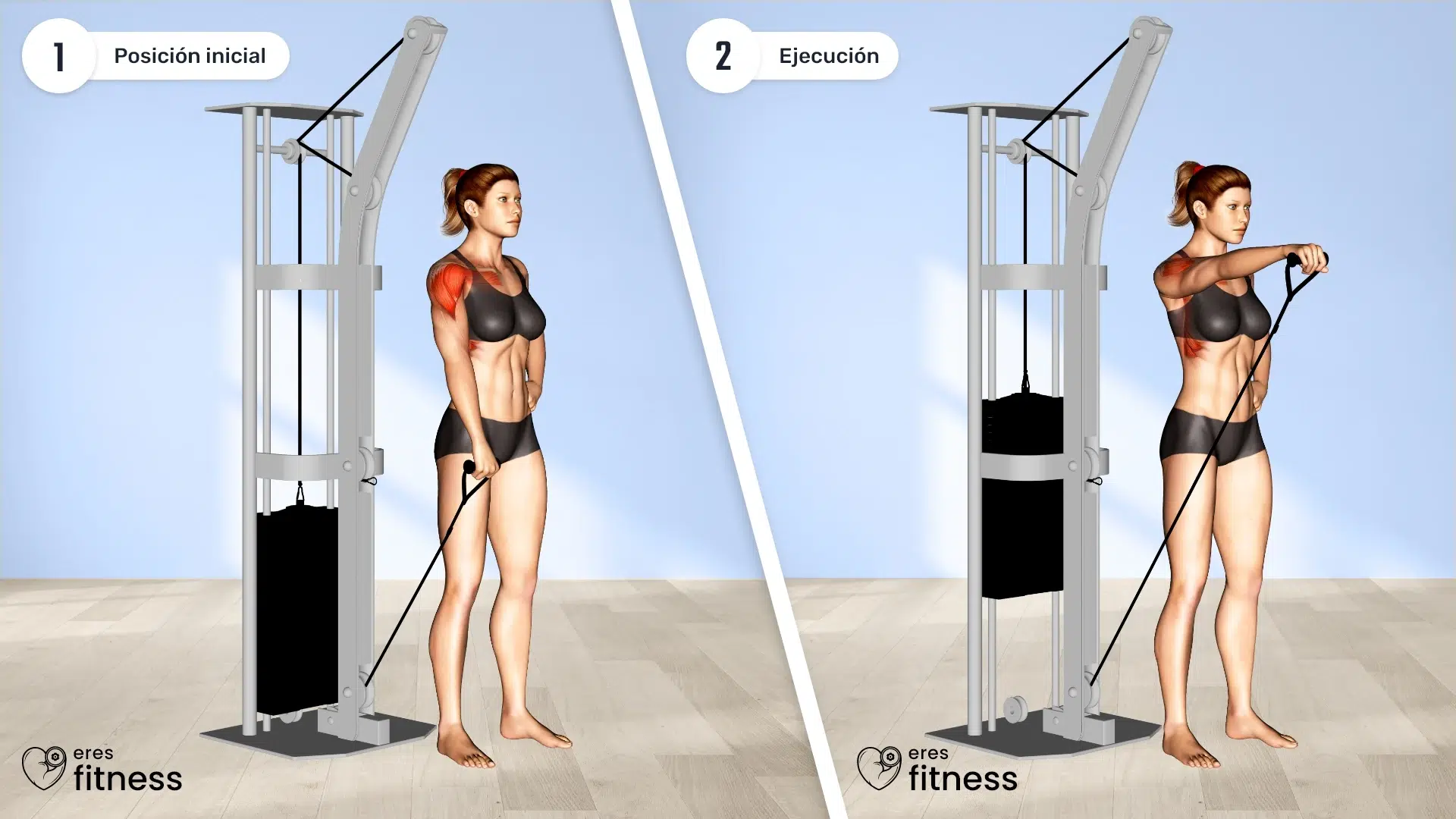 Elevaciones frontales con polea baja a una mano