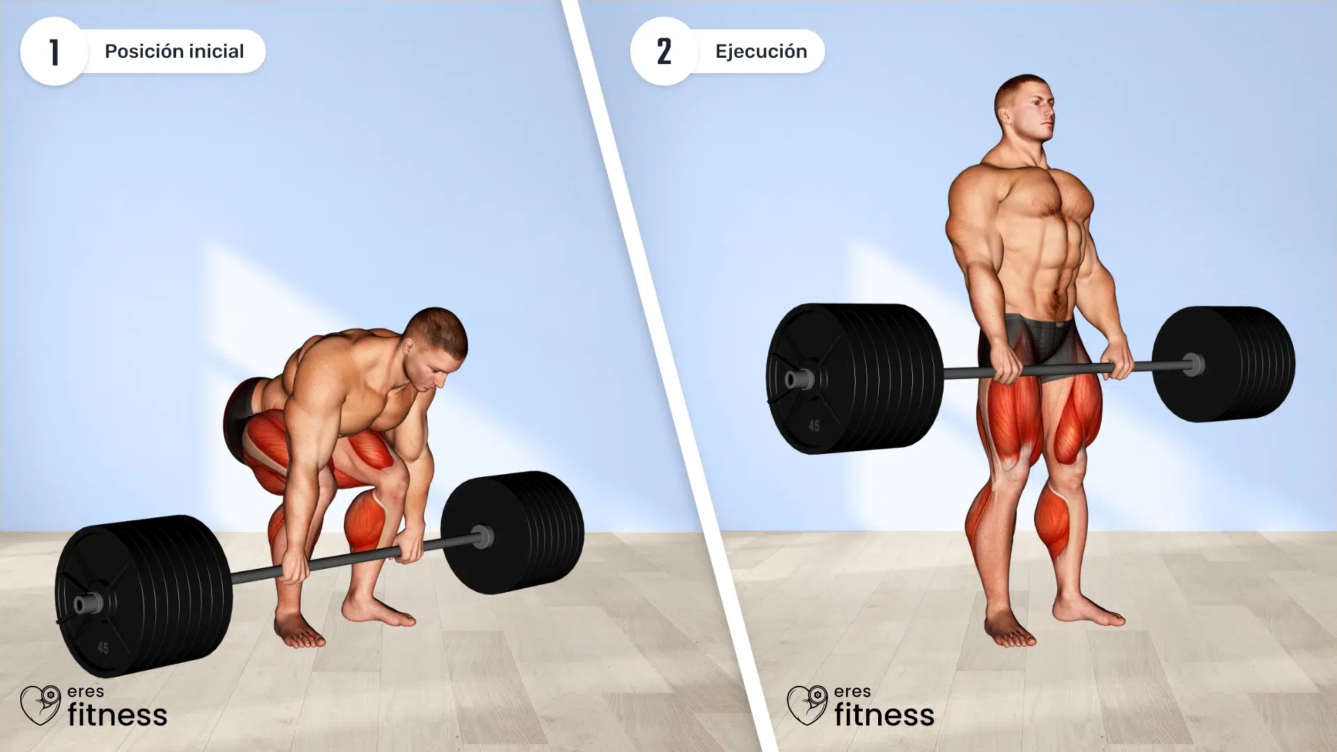 Peso muerto con barra (Strongman)