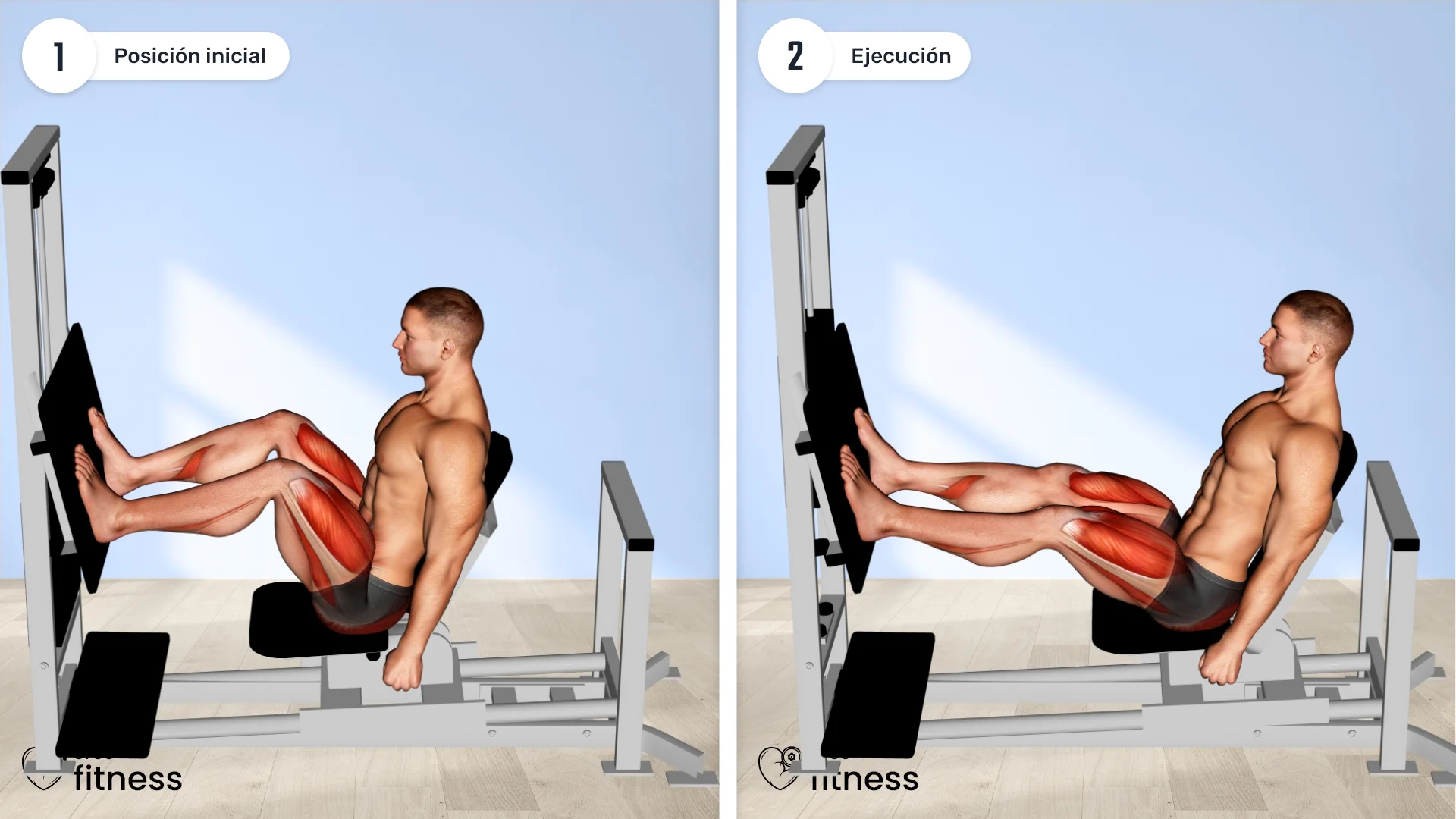 ¿Cómo hacer press de pierna horizontal sentado en máquina? ¿Cómo hacer press de pierna horizontal sentado en máquina?