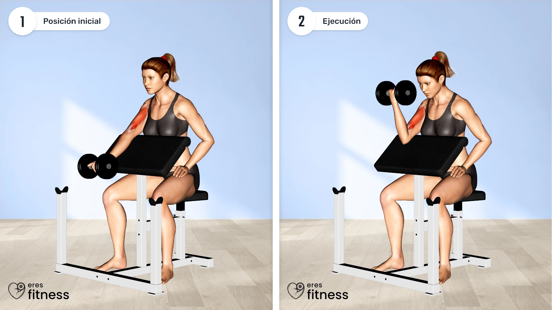 Curl predicador a un brazo con mancuerna