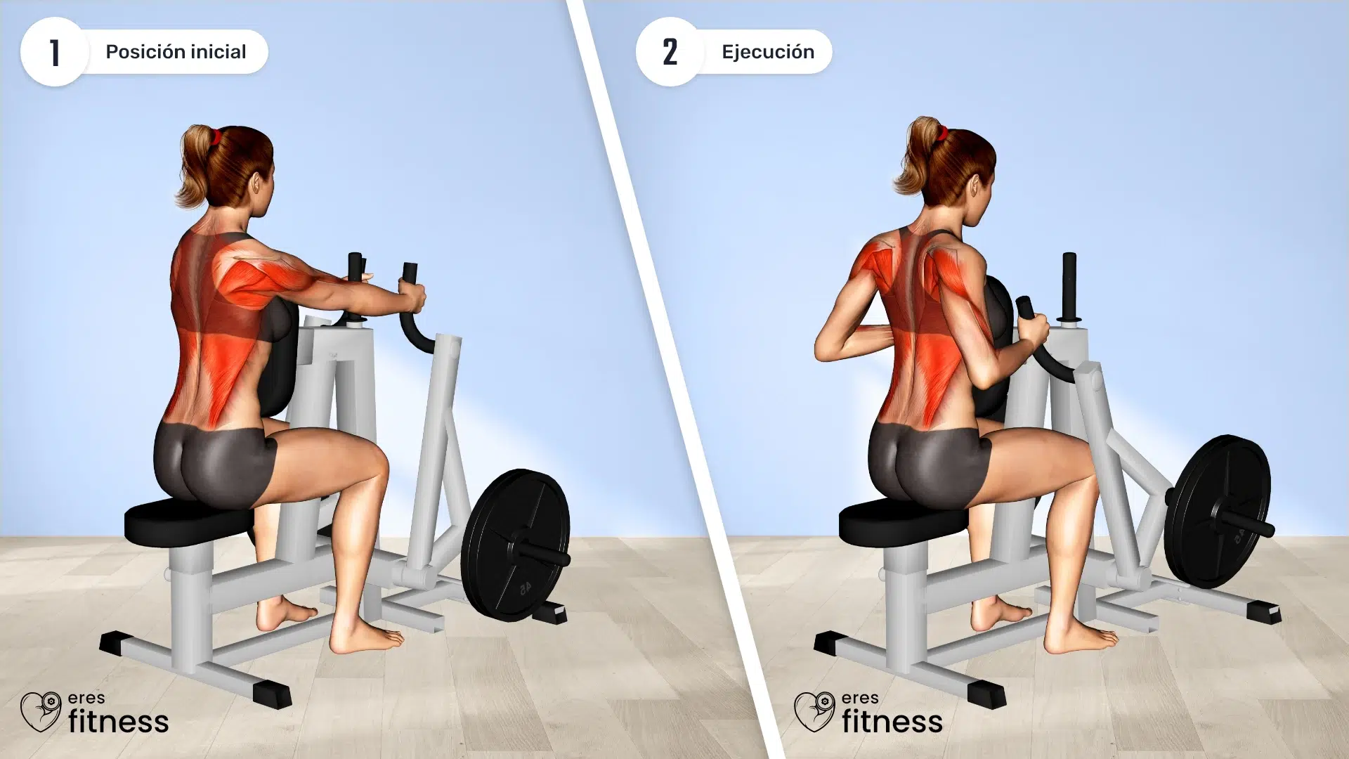 31021105-Lever-Narrow-Grip-Seated-Row-(plate-loaded)-(female)_Back_max