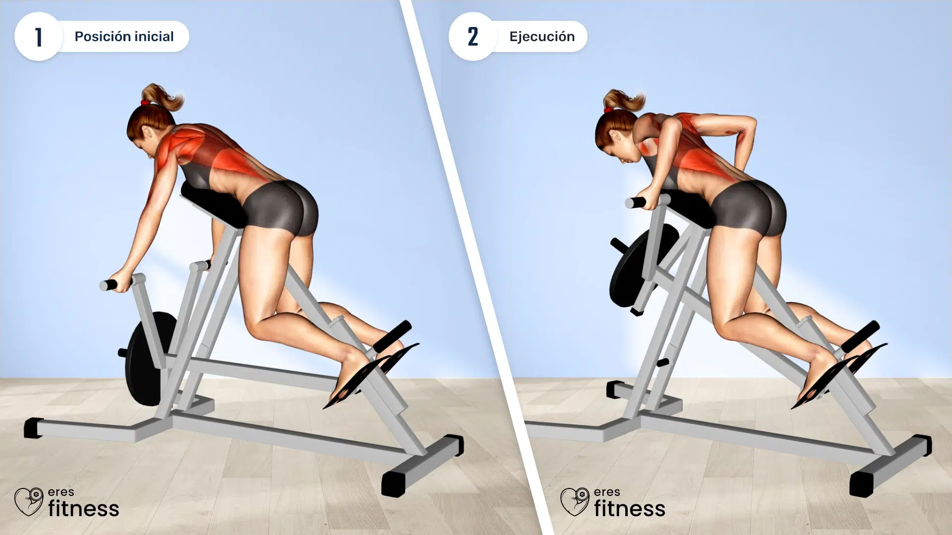 31041105-Lever-Reverse-T-Bar-Row-(female)_Back_max