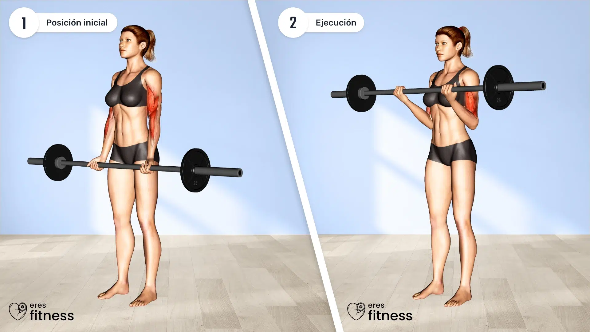 35921105-Barbell-Curl-(female)_Upper-Arms_max