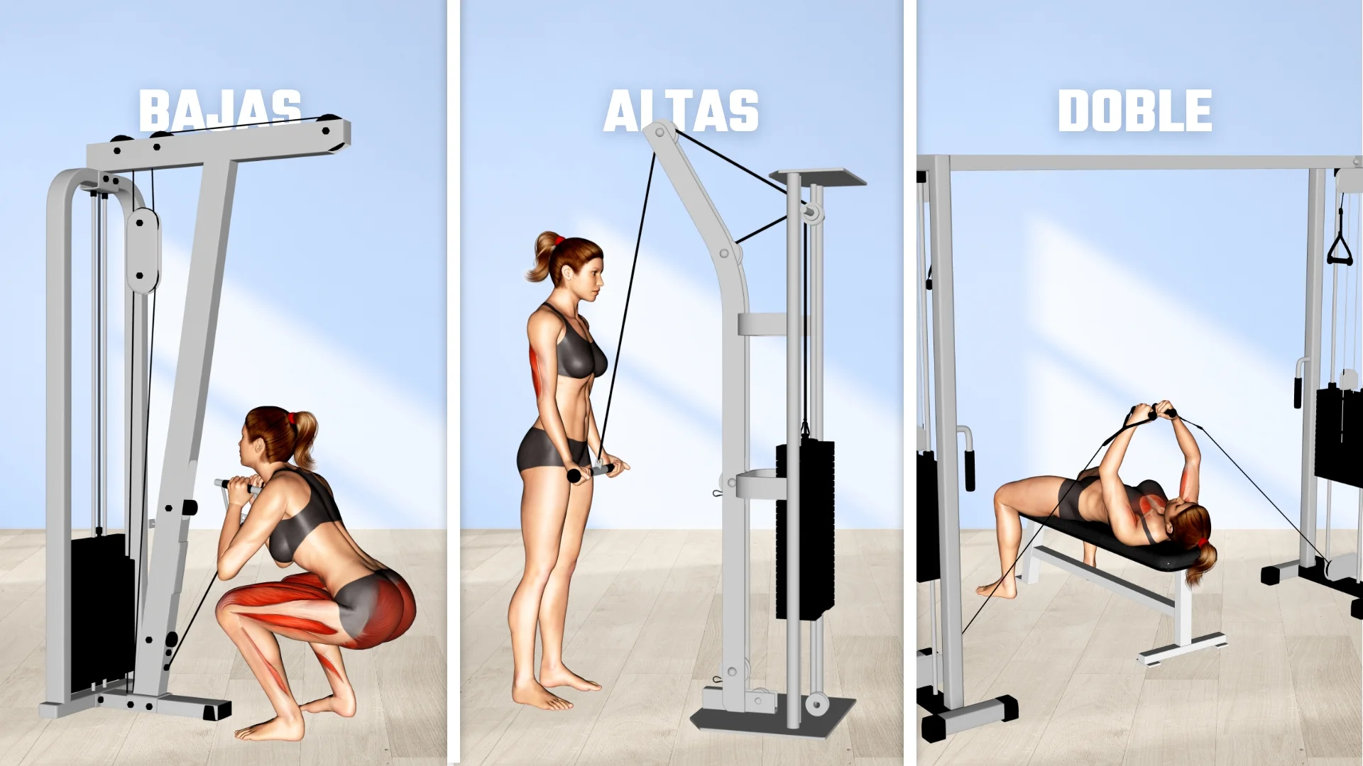 Área de poleas en un gimnasio: Altas, bajas y dobles