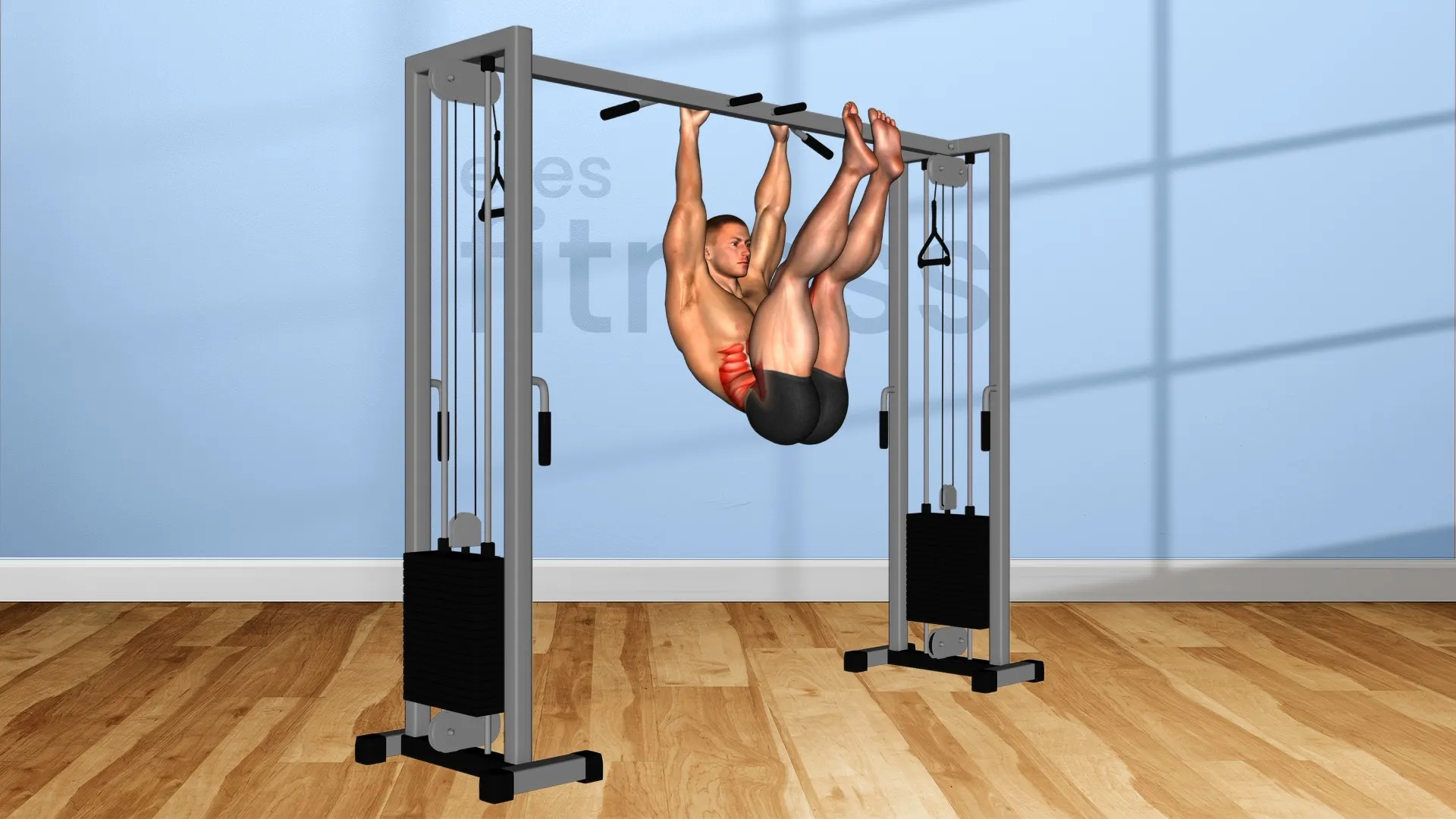 Abdominales colgado