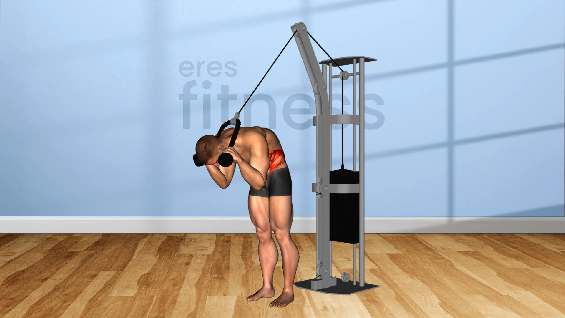 Crunch de pie en polea (con cuerda)