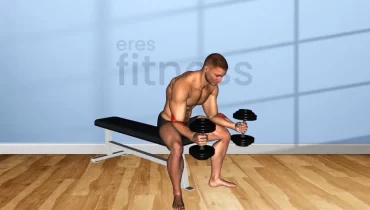 Curl de muñecas con mancuernas sentado agarre neutro