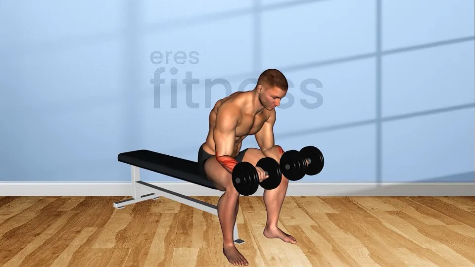 Curl de muñecas con mancuernas sentado agarre prono (ambos brazos)