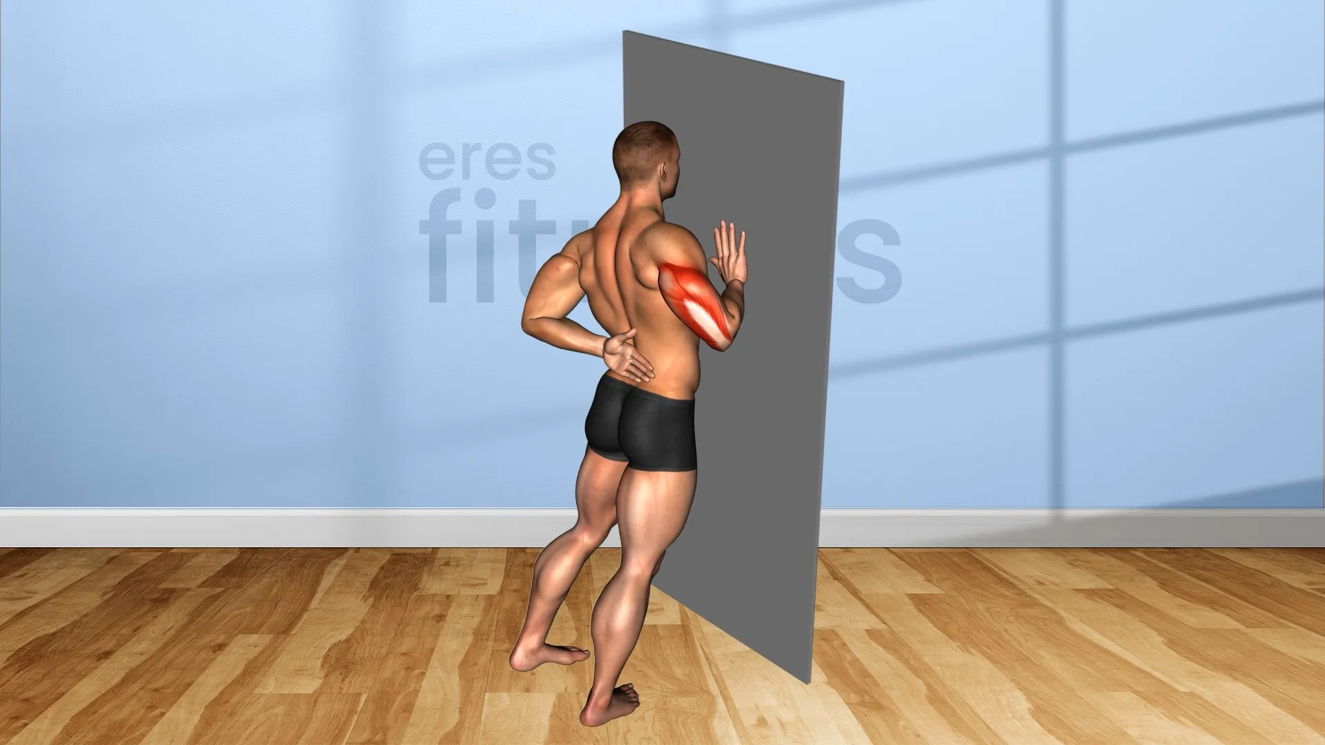 Flexiones a una mano sobre la pared Flexiones a una mano sobre la pared
