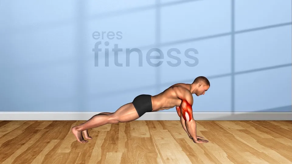 Flexiones sobre los antebrazos Flexiones sobre los antebrazos