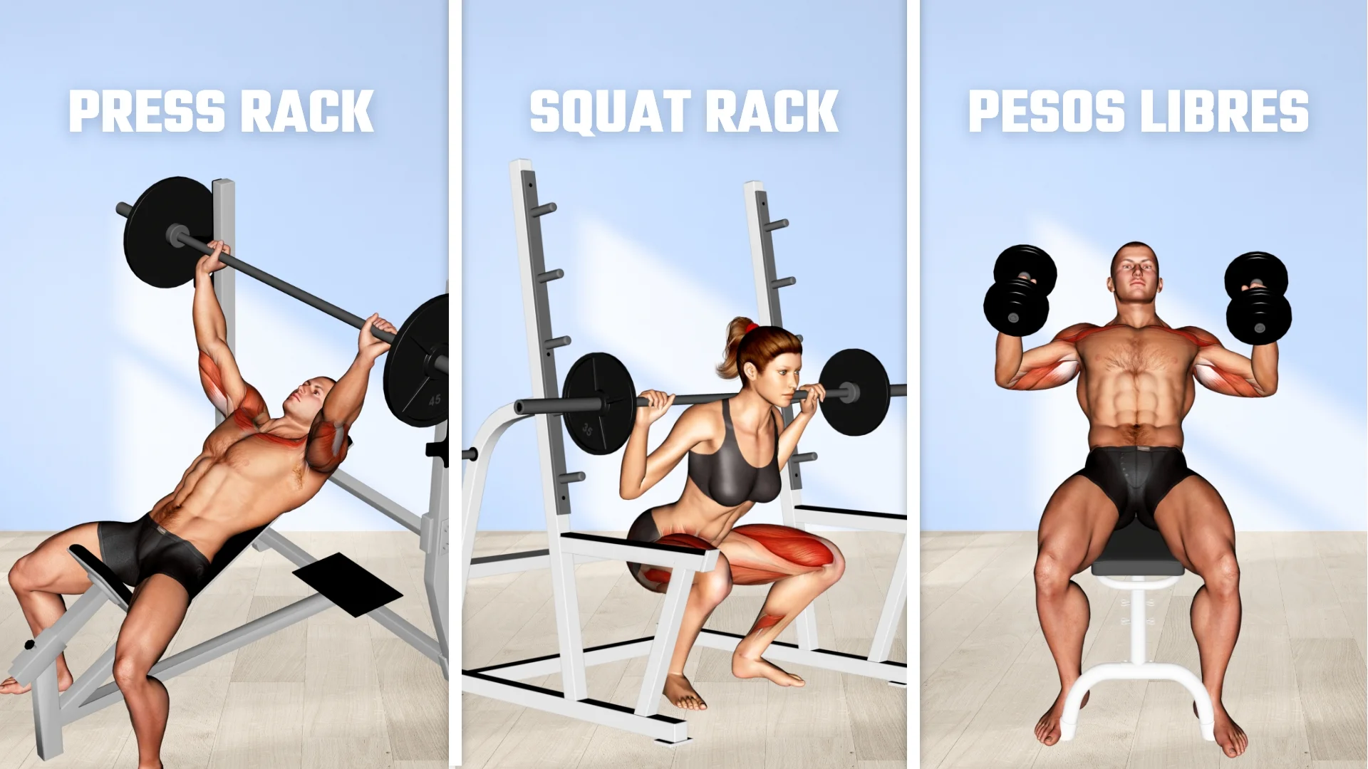 Área de pesos libres en un gimnasio: Racks, barras y mancuernas