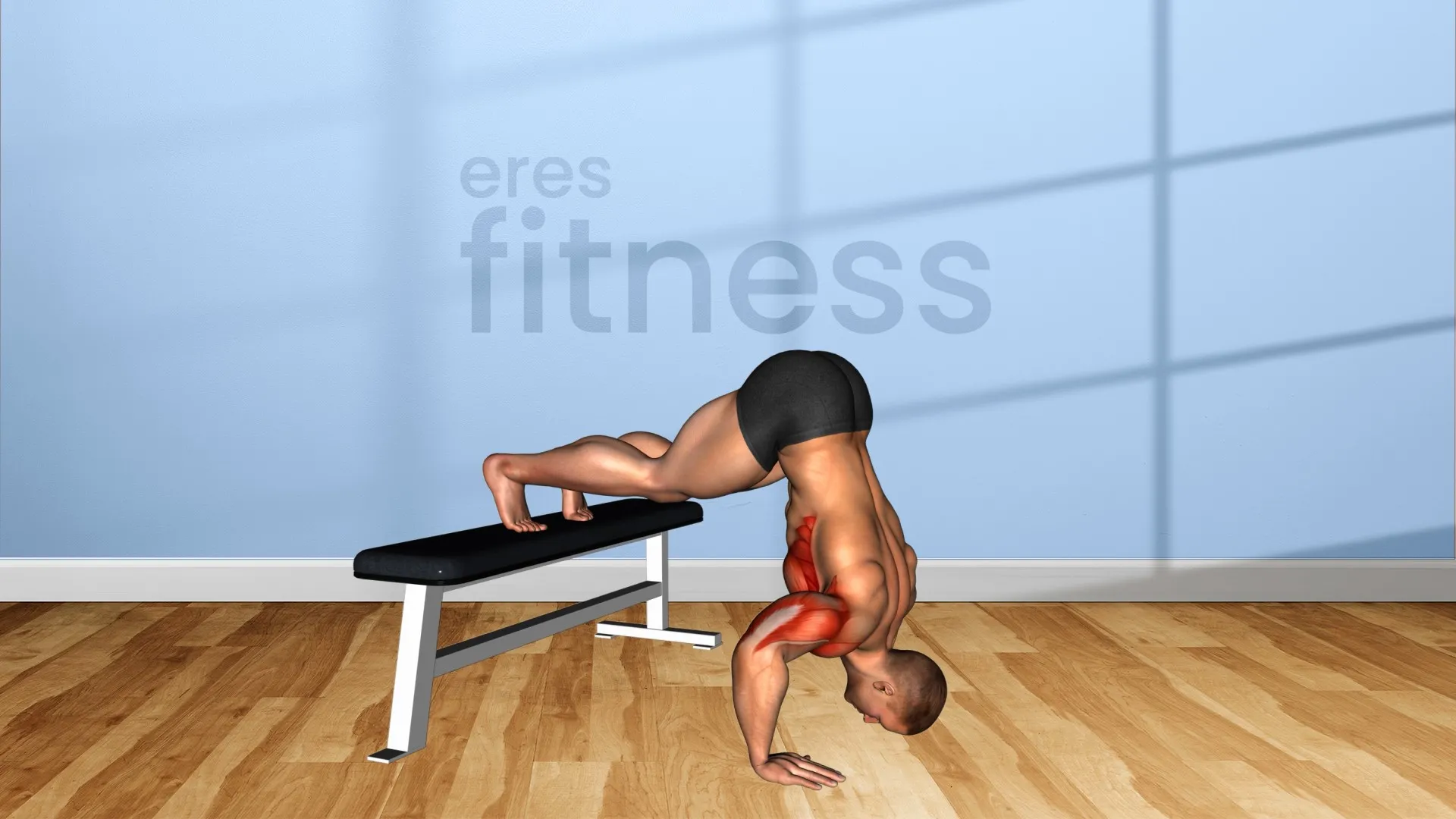 Pike Push Up sobre banco Pike Push Up sobre banco