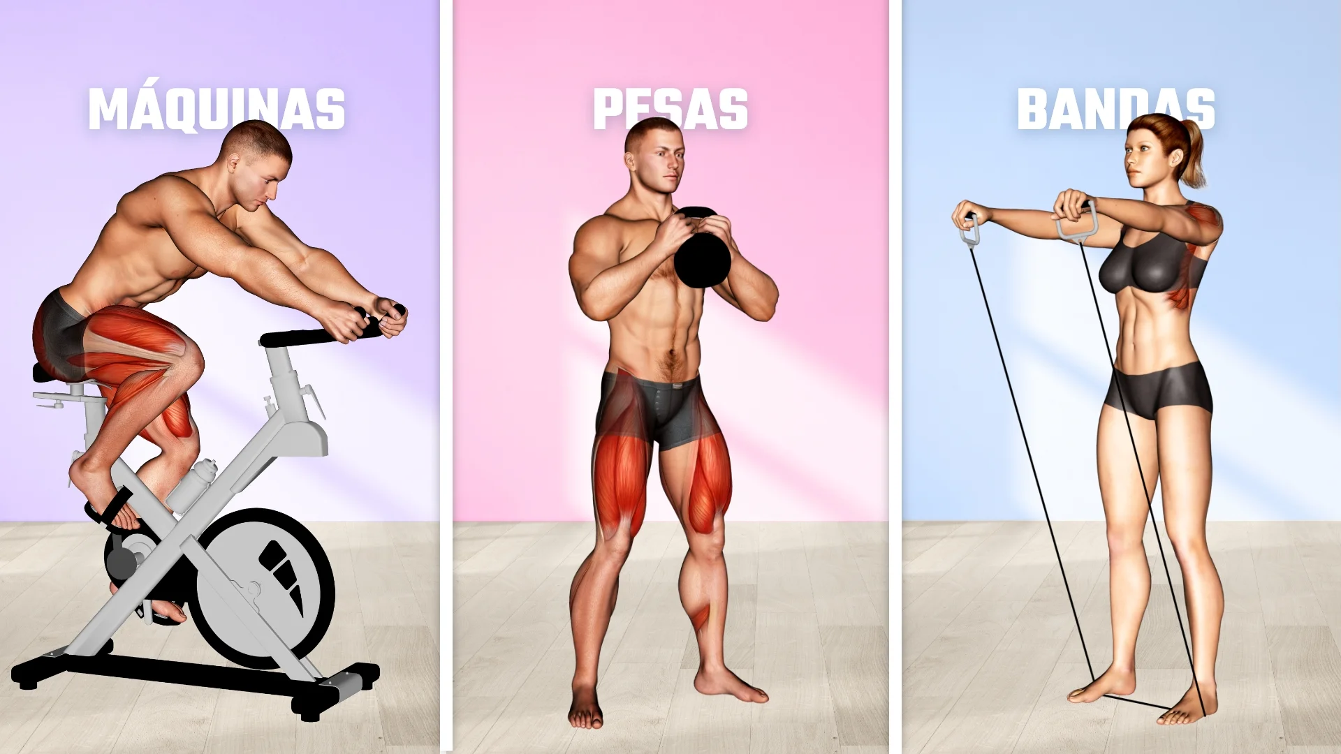 Ideas de regalos de Navidad para amantes del fitness: Máquinas, Pesas, Bandas