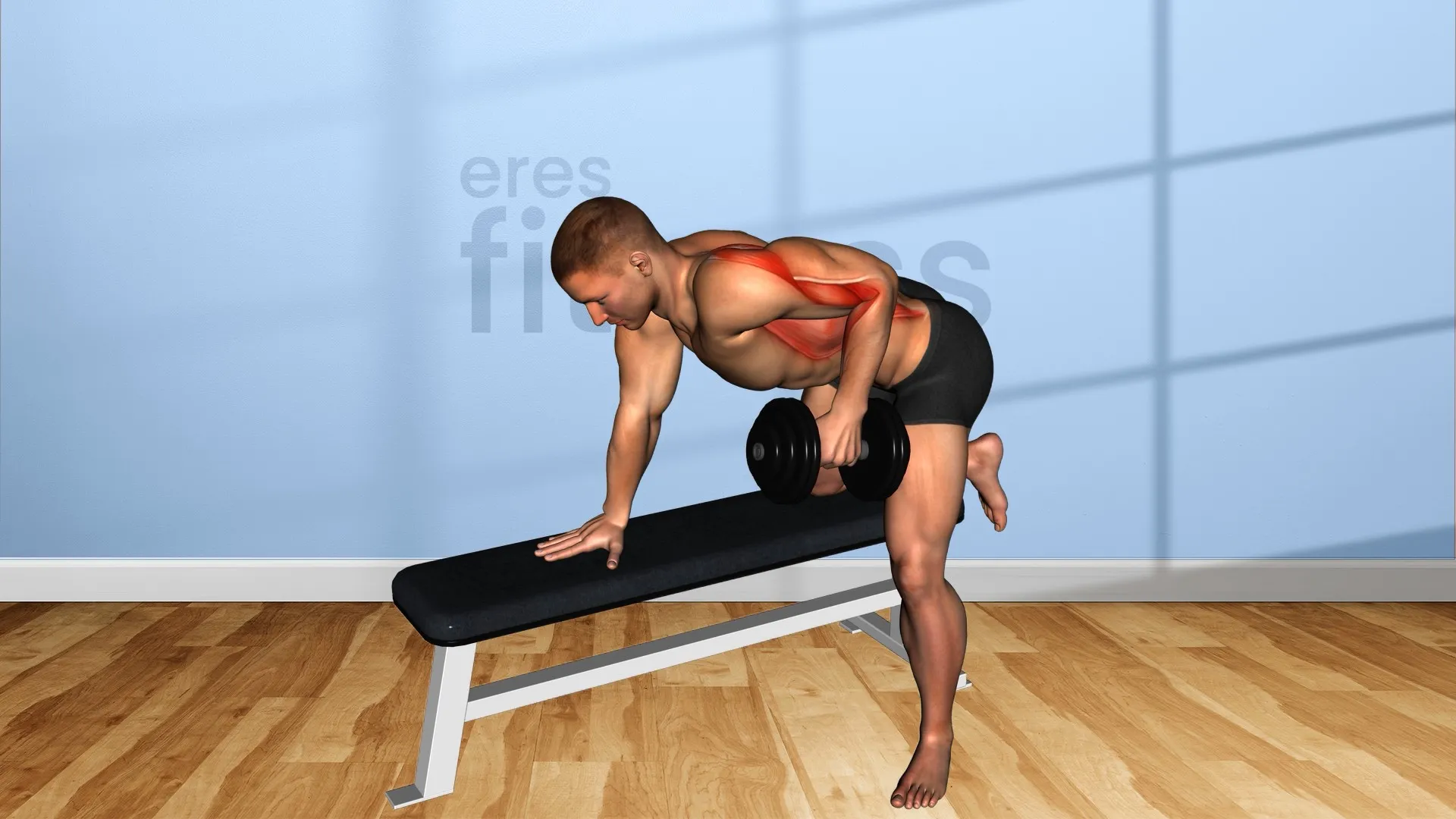 Remo ejercicio para espalda: qué músculos se trabajan con cada tipo de remo
