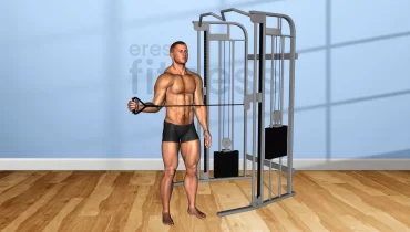 Rotación externa de hombro en polea