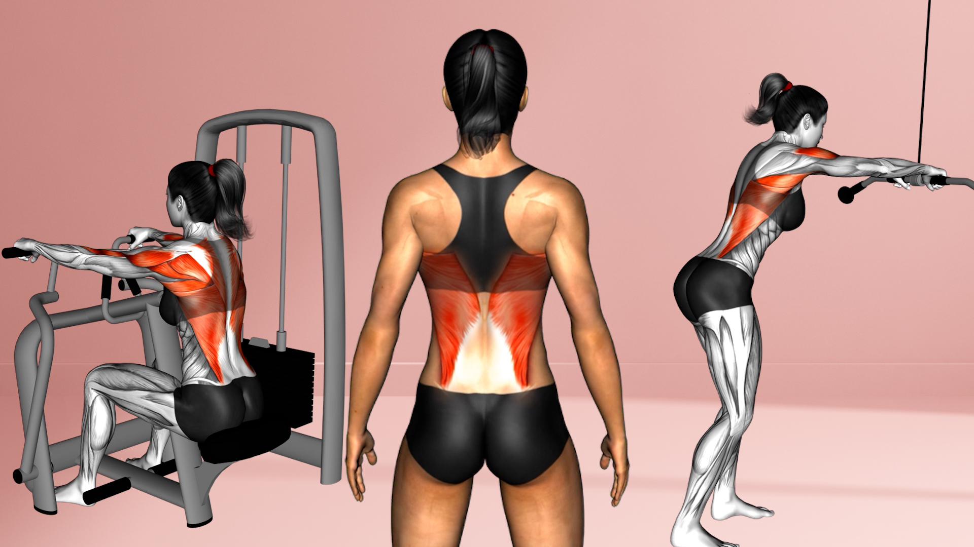 Rutina para espalda y bíceps definidos para mujeres en el GYM