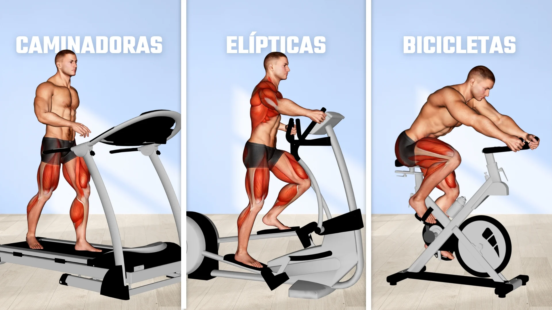Máquinas básicas del área de cardio para un gimnasio