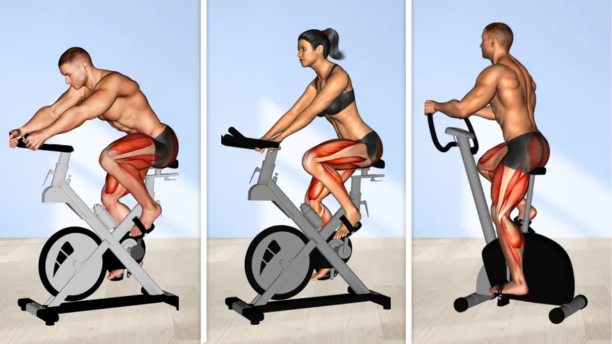 Bicicleta para spinning: guía completa para tu rutina de cardio