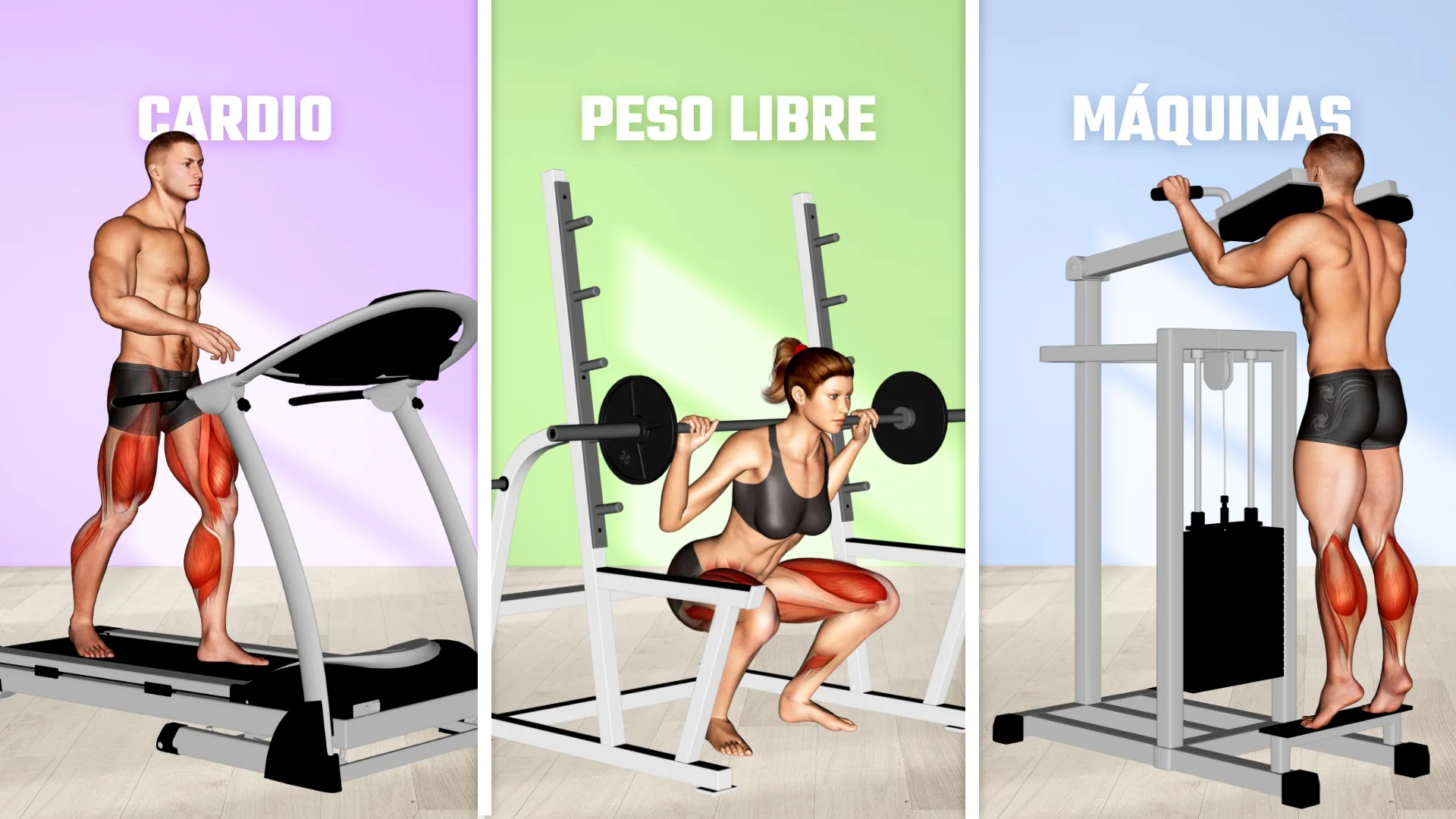 Equipando tu Gimnasio: Lo esencial y cómo comenzar ya