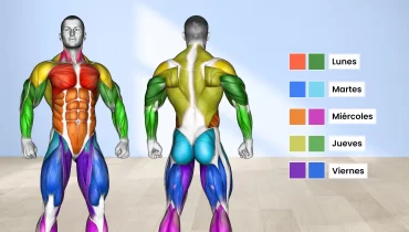 Los 3 esquemas de entrenamiento más utilizados en el gimnasio