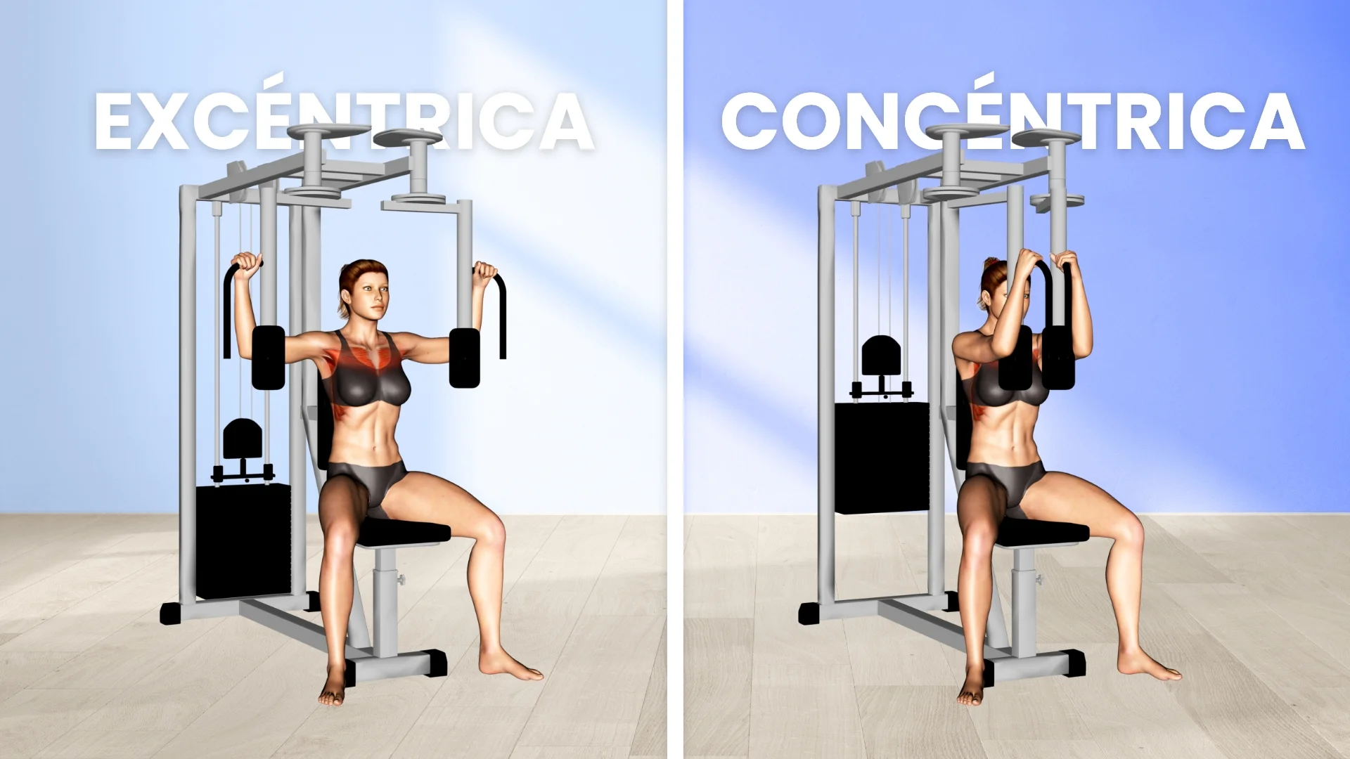 Peck Deck: Ejemplificación de contracción excéntrica y concéntrica