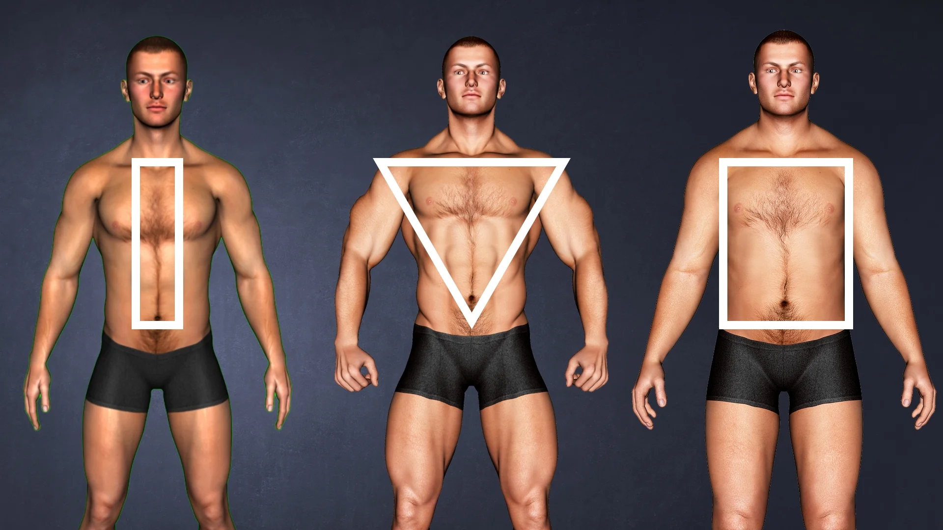 Los 7 tipos de cuerpo (o somatotipos): ¿cuáles son?