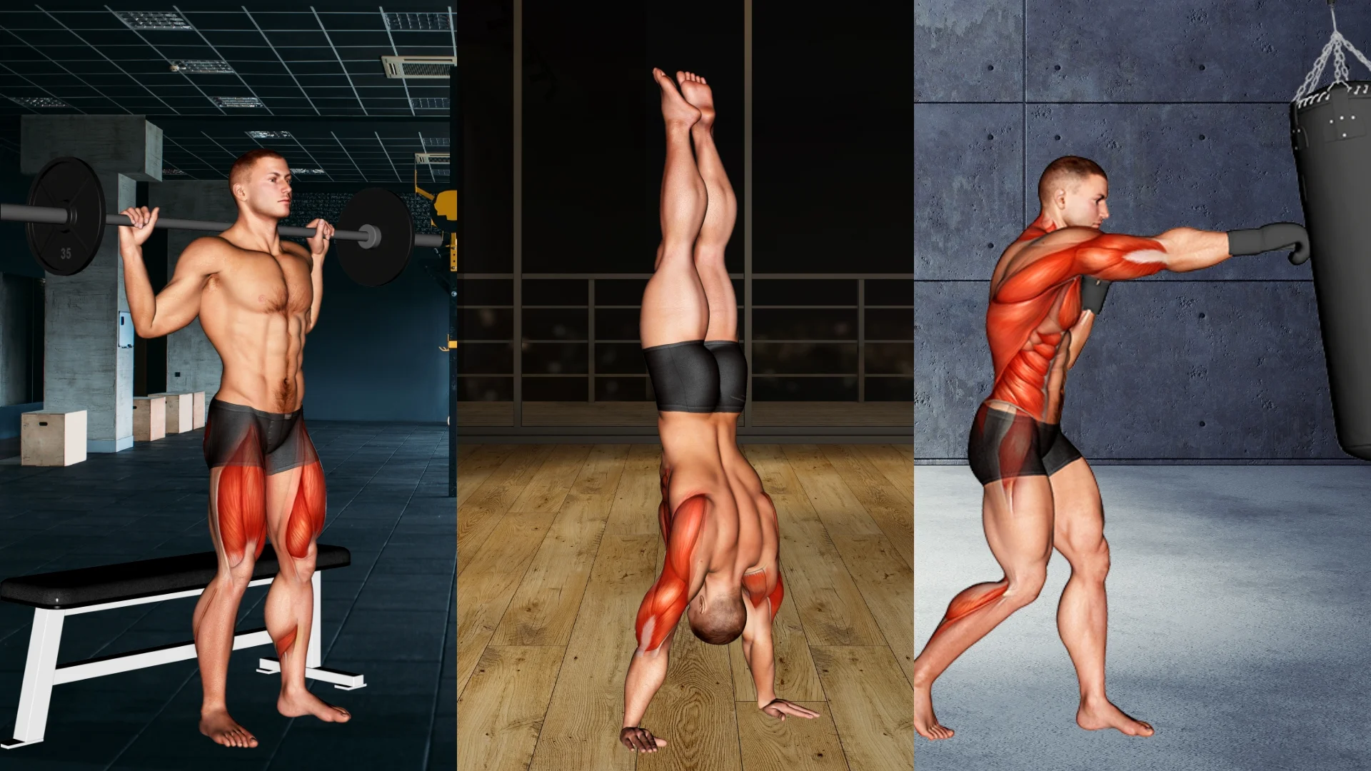 ¿Qué tipo de suelo se pone para hacer fitness?